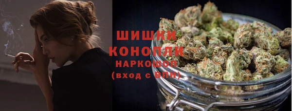 винт Елабуга