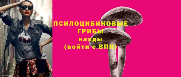 марки lsd Ельня