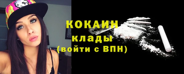 ALPHA PVP Елизово