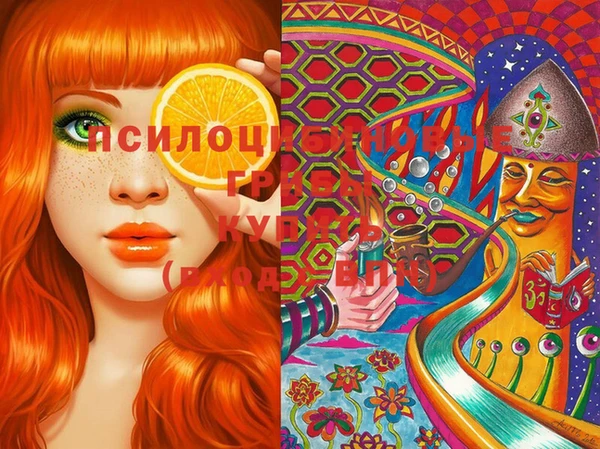 марки lsd Ельня